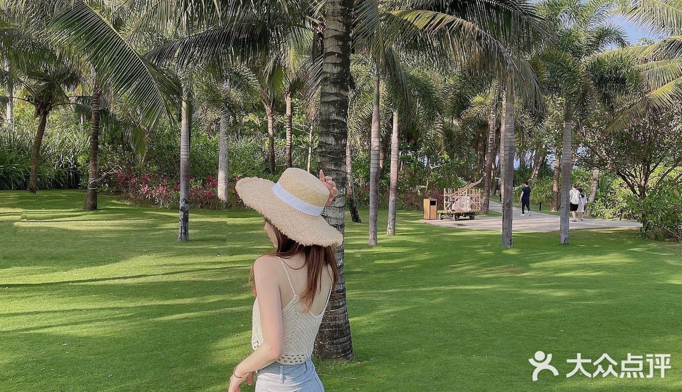 🌴 三亚艾迪逊· 私人沙滩边的椰林也太好拍了