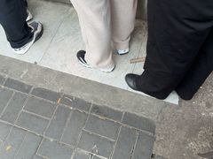 -杨震卤菜旗舰店