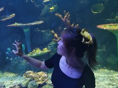 -华夏文旅海洋公园