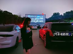 -枫花园汽车电影院(朝阳公园店)