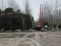 -合肥滨湖国家森林公园