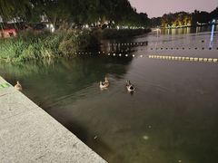 -后海公园