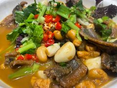 -小小饭店·休闲农庄·安吉松树林里的农家菜