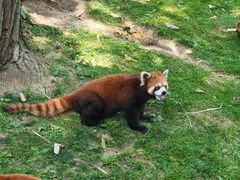 -西安秦岭野生动物园