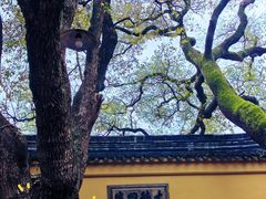 -西园戒幢律寺