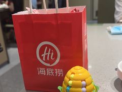 -海底捞火锅(吾悦广场店)