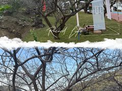 -广州市流溪河国家森林公园