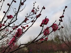 -蜀冈西峰生态公园