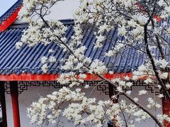 -堤角公园