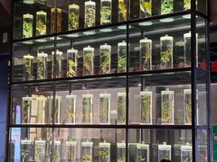 -广东中医药博物馆