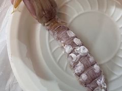 -东夷海鲜巨无霸(东夷小镇店)