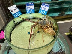 -强记海鲜·大排档(蛇口新街店)