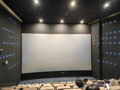 -深影国际影城(学院南路店CGS中国巨幕店)