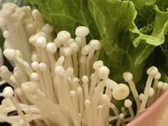 -菌小白火锅(时尚天河店)