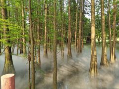 -东湖落雁景区