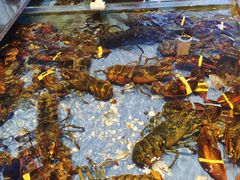 -山东八大碗山东老字号