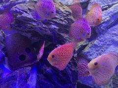 -多彩贵州城极地海洋世界