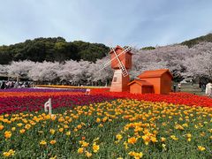 -苏州上方山国家森林公园