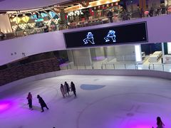 -TheRink大零溜冰场(IFS国金中心店)