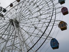 -百万葵园