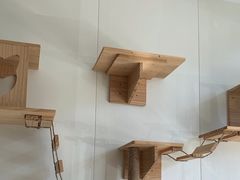 -美联众合动物医院·24h京西诊疗中心