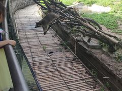 -宁波野生动物园