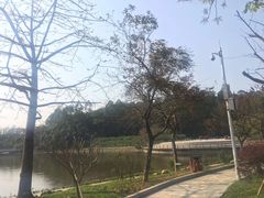 -南国桃园旅游度假区