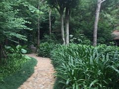 -仙岳公园
