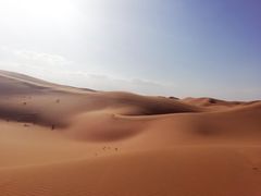 -迎宾楼(解放西街店)