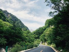 -陕西省红河谷森林公园