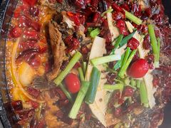 -老板恋上鱼(恒隆广场店)