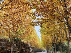 -石家庄市动物园