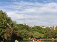 -新江湾城公园
