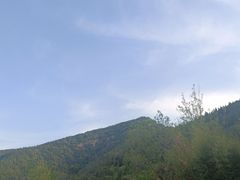 -鲁山国家森林公园