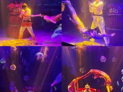 -顺德南宏海立方海洋公园
