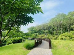-羊山湖公园
