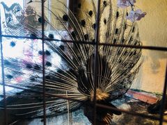 -老阿爸江浙土菜(前进东路店)