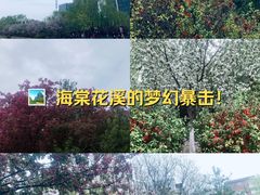 -元大都城垣遗址公园