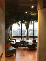 -V-STAR威斯达•高级私人定制