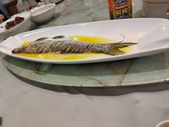 -中国饭店-餐厅