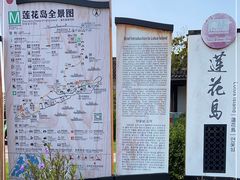 -莲花岛景区