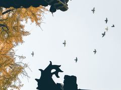-宝通禅寺