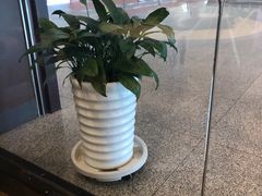 -肯德基(沈阳机场T3店)