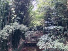 -川西竹海景区