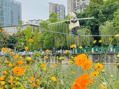 -成都市活水公园