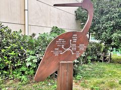 -鄱阳湖国家湿地公园