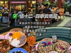 -西双版纳原始森林公园