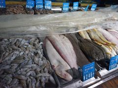-浩运·海鲜青岛菜·海胆水饺(石老人店)