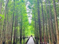 -桤木河湿地公园