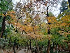 -虞山风景区